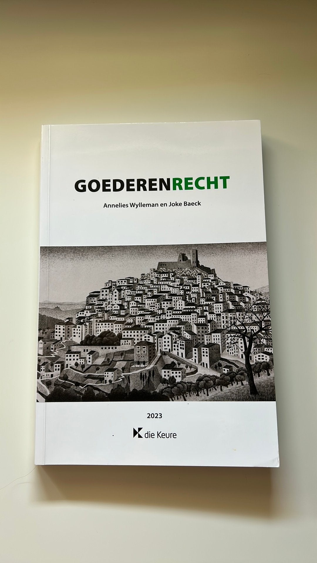 Handboek: Goederenrecht, Boeken, Verzenden, Gelezen
