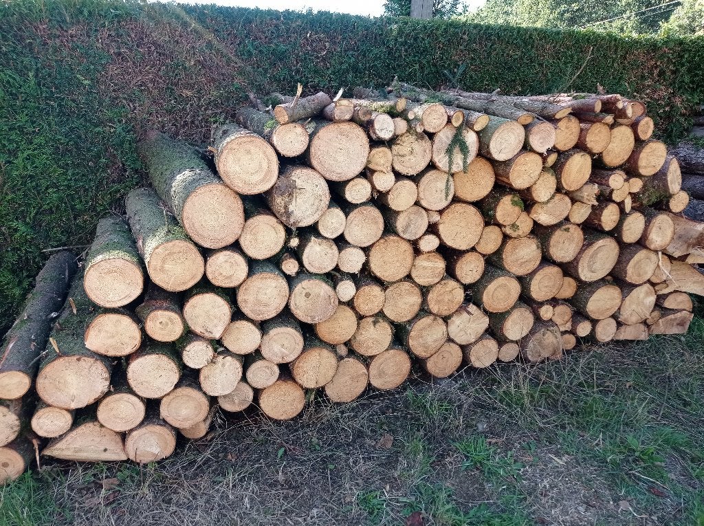 Bois de Chauffage Epicéa en 1m, 6 m³ ou plus, Enlèvement, Autres essences de bois, Bûches