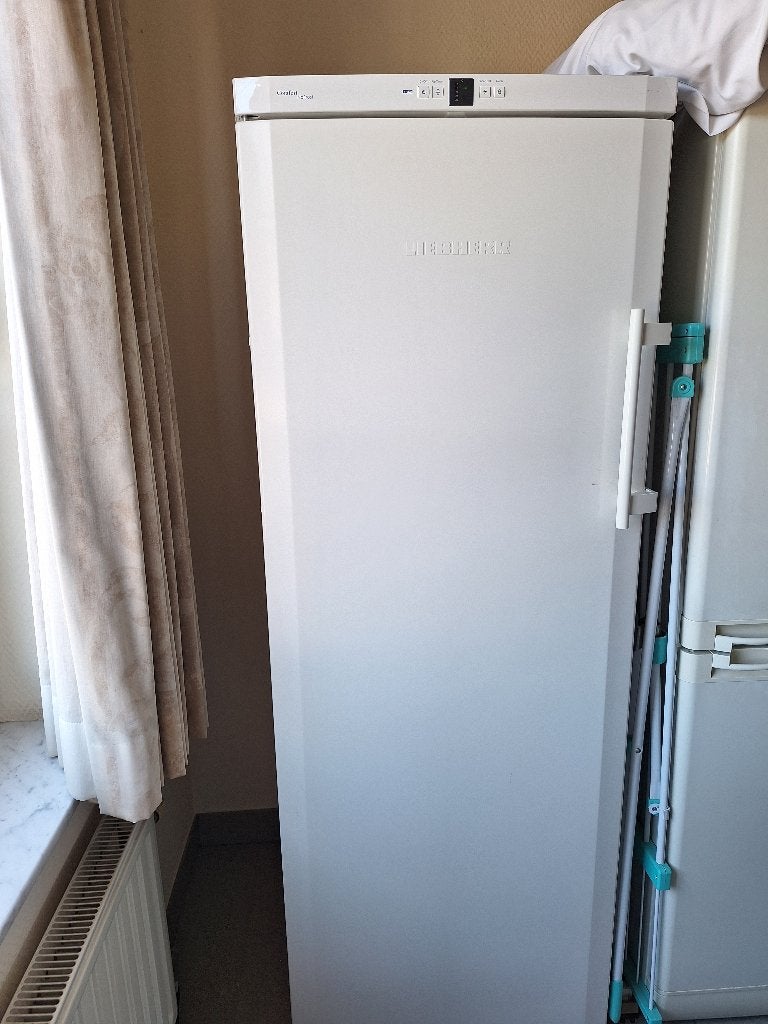 Diepvries Liebherr, Elektronische apparatuur, Gebruikt, 160 cm of meer, Ophalen, Vrieskast