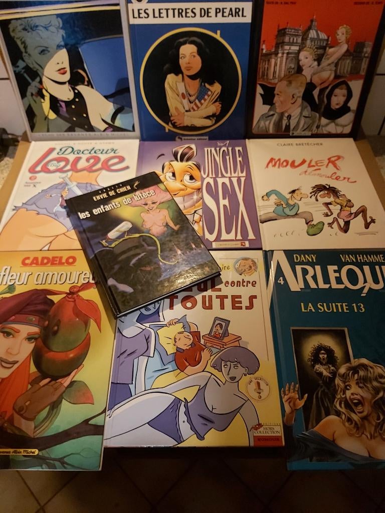 STRIPS VOOR VOLWASSENEN, Boeken, Stripverhalen, Eén stripboek, Ophalen of Verzenden, Zo goed als nieuw, Divers auteurs