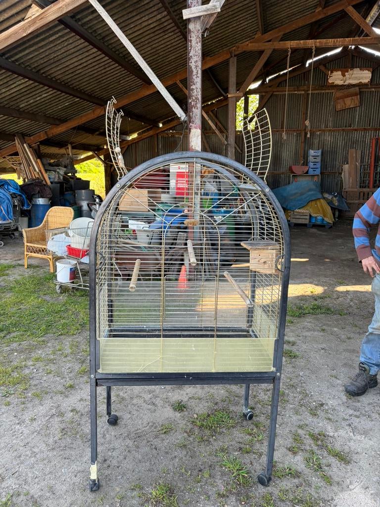 Papegaai / vogelkooi ( groot), Dieren en Toebehoren, Ophalen, Gebruikt, Metaal, Vogelkooi