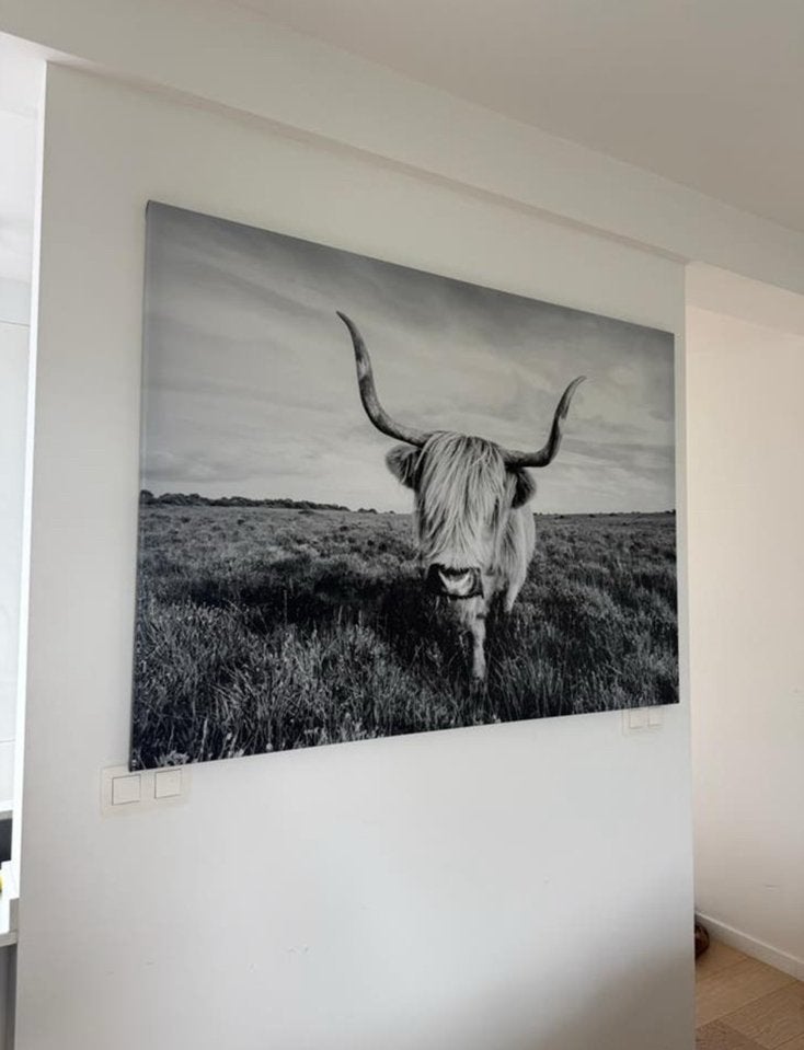 Gratis poster met Stier, Huis en Inrichting, Ophalen, Zo goed als nieuw