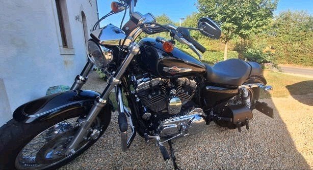 Harley Davidson Sportster XL 1200 C, Permis Moto A, Plus de 35 kW, Chopper, 2 cylindres