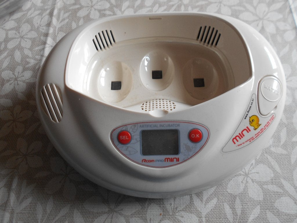 Broedmachine R-Com pro MINI, Animaux & Accessoires, Volatiles | Accessoires, Enlèvement ou Envoi, Neuf, Couveuse