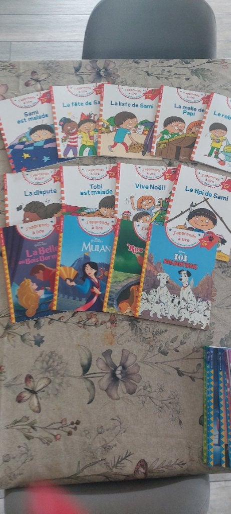 Livres "j'apprends à lire" debut cp, Livres, Enlèvement, Utilisé, Français
