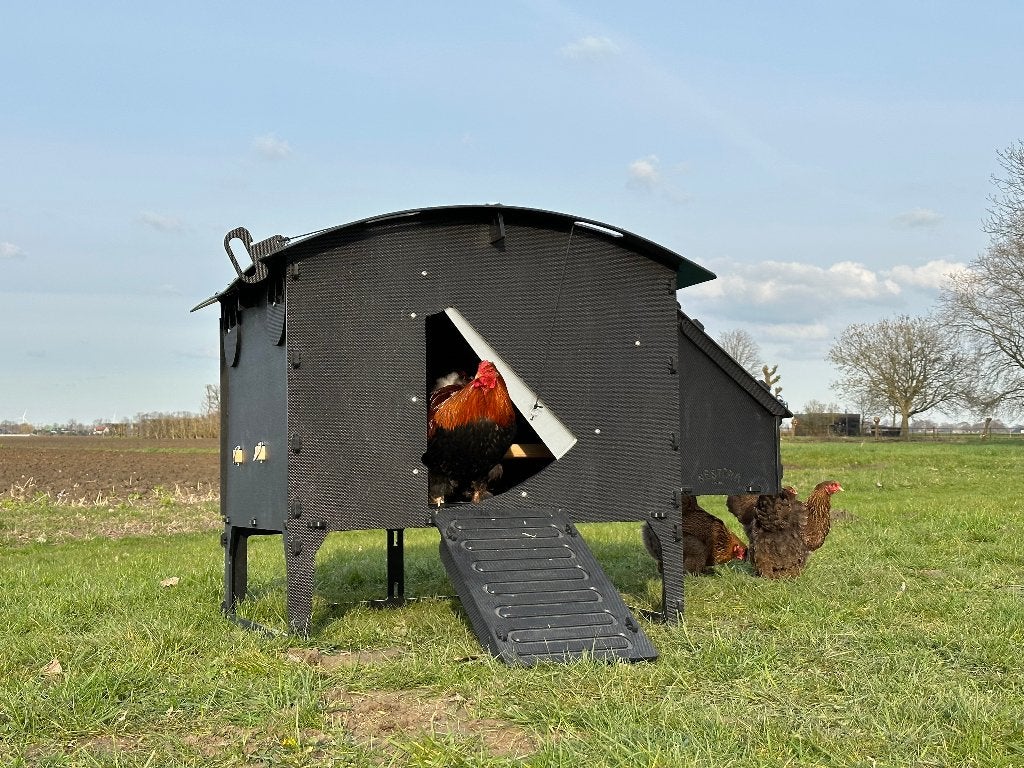 Nestera Kippenhok Large op pootjes | Kunststof nachthok, Dieren en Toebehoren, Ophalen of Verzenden, Nieuw, Kippenhok of Kippenren