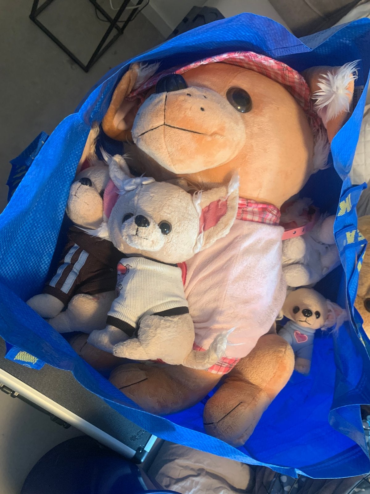 Verschillende knuffels + wierrook, Ophalen, Overige merken, Overige karakters, Hond