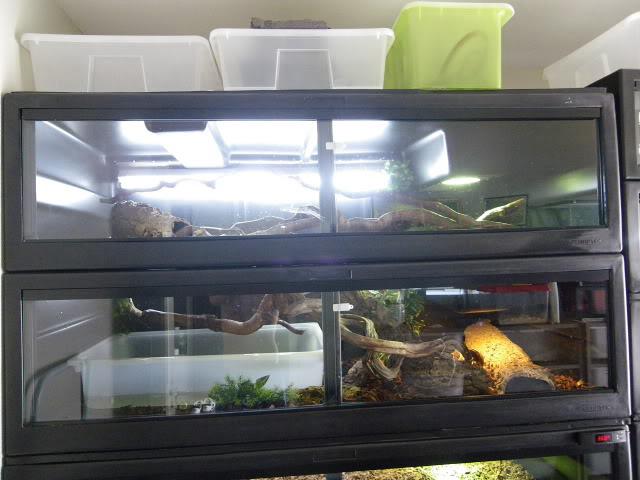 Terrarium Heptek 180x90x50, Dieren en Toebehoren, Ophalen, Zo goed als nieuw