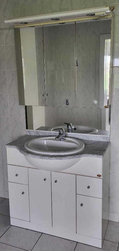 Badkamermeubel met spiegelkast en spots, Ophalen, Spiegelkast