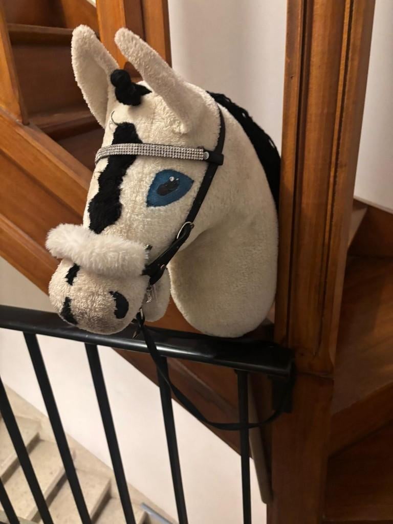 hobby horse LEASE, Hobby en Vrije tijd, Een of twee spelers, Ophalen, Zo goed als nieuw, Overig
