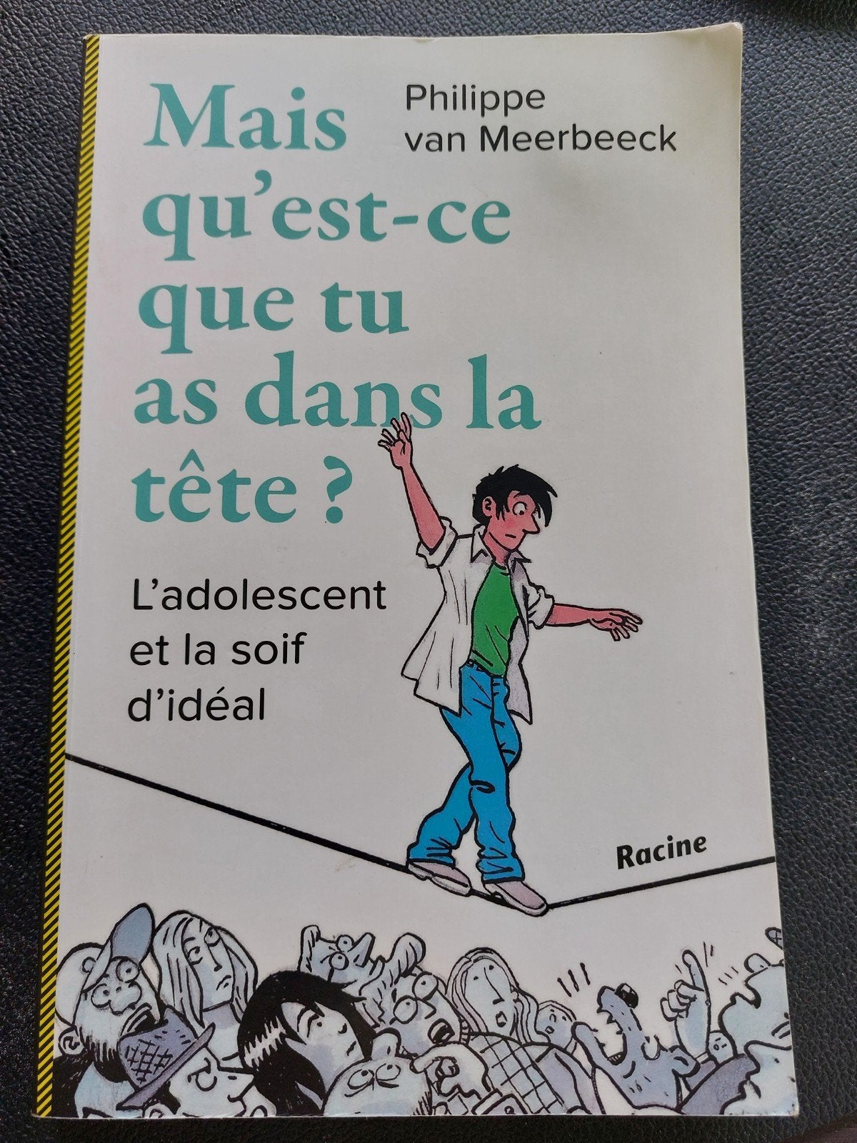 Mais qu'est ce que tu as dans la tête de van Meerbeeck, Enlèvement, Utilisé