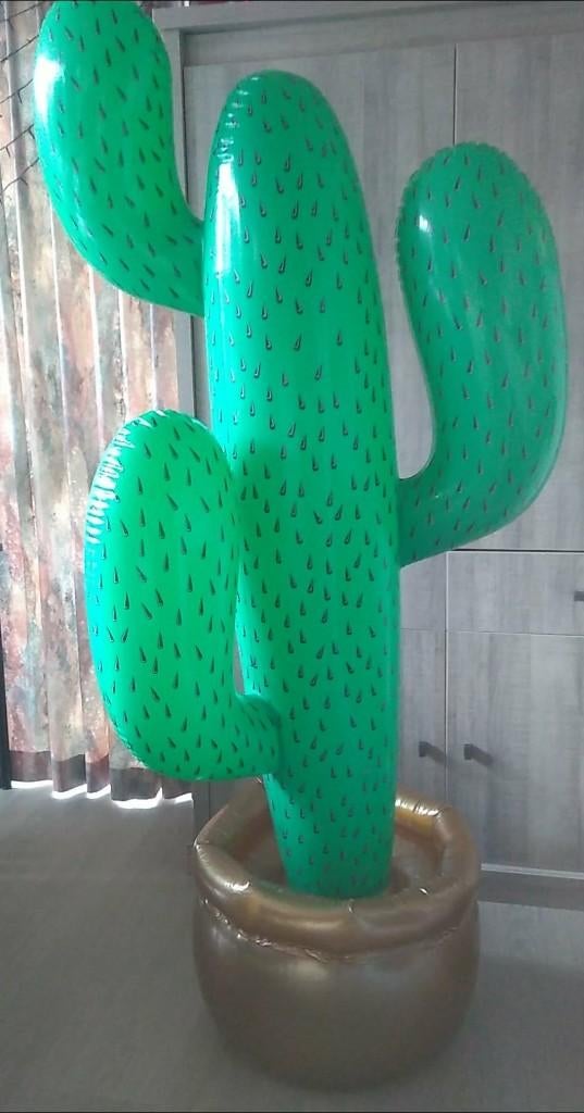 opblaasbare cactus 170 cm groot, Ophalen of Verzenden