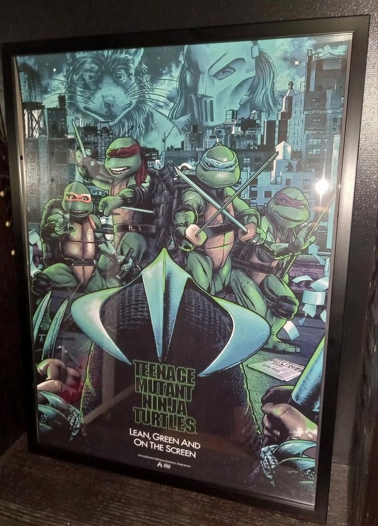 Tortues ninja mutantes adolescentes, Enlèvement ou Envoi