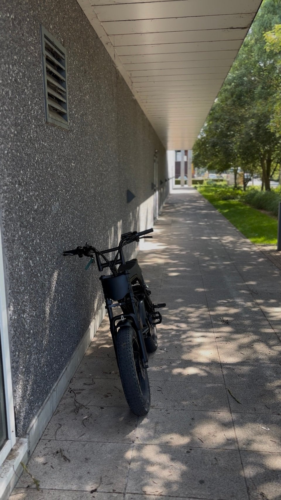 Fatbike C80, Autres marques, 7 vitesses, Enlèvement, Utilisé
