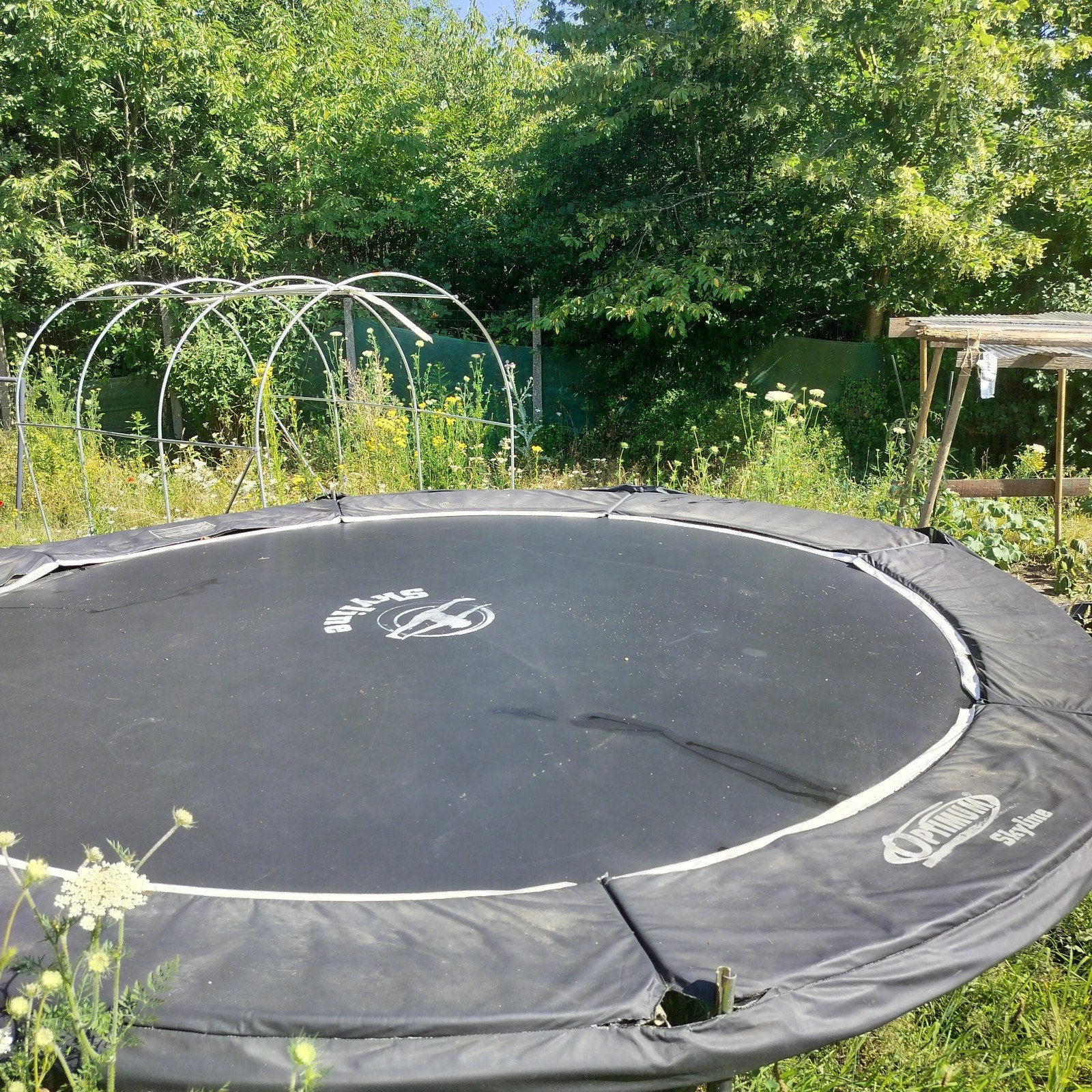 Gratis trampoline, Kinderen en Baby's, Speelgoed | Buiten | Trampolines, Ophalen