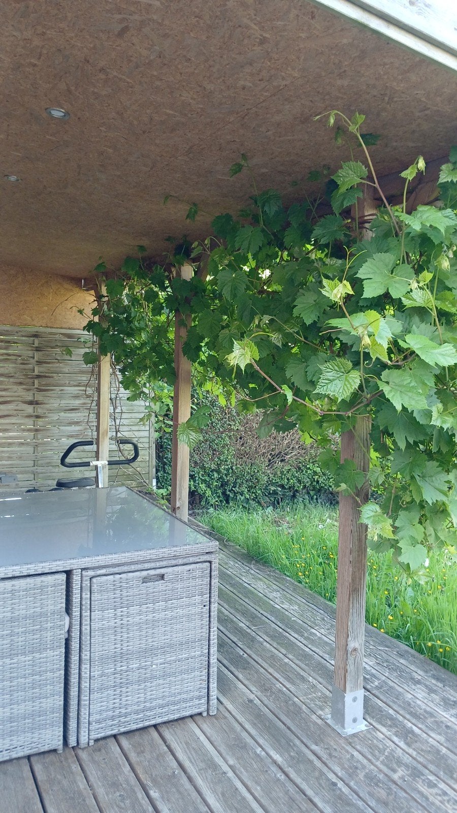 Toi de carport
