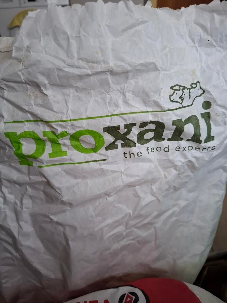 Lait en poudre pour agneau, meilleure qualité, Enlèvement