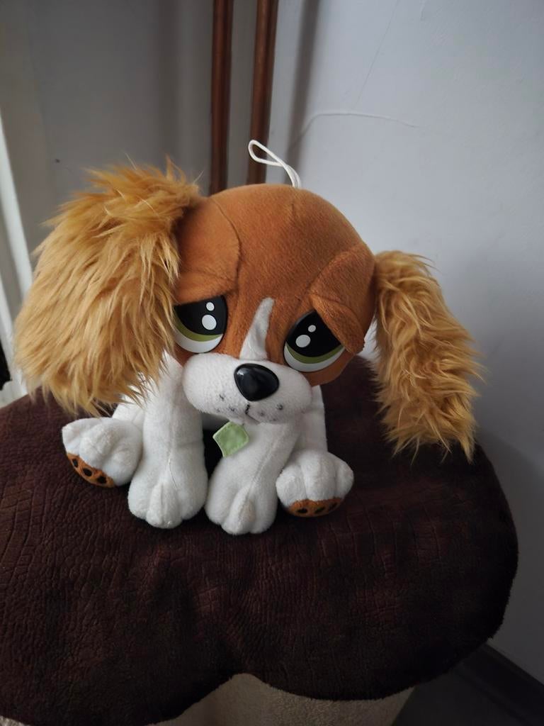 Peluche, Enlèvement