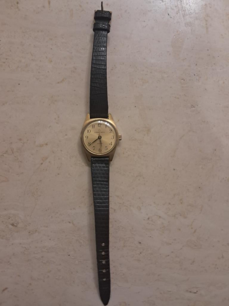 Montre pour femme Eterna-matic Sahida, Bijoux, Sacs & Beauté, Montre-bracelet, Autres marques, Enlèvement ou Envoi, Acier