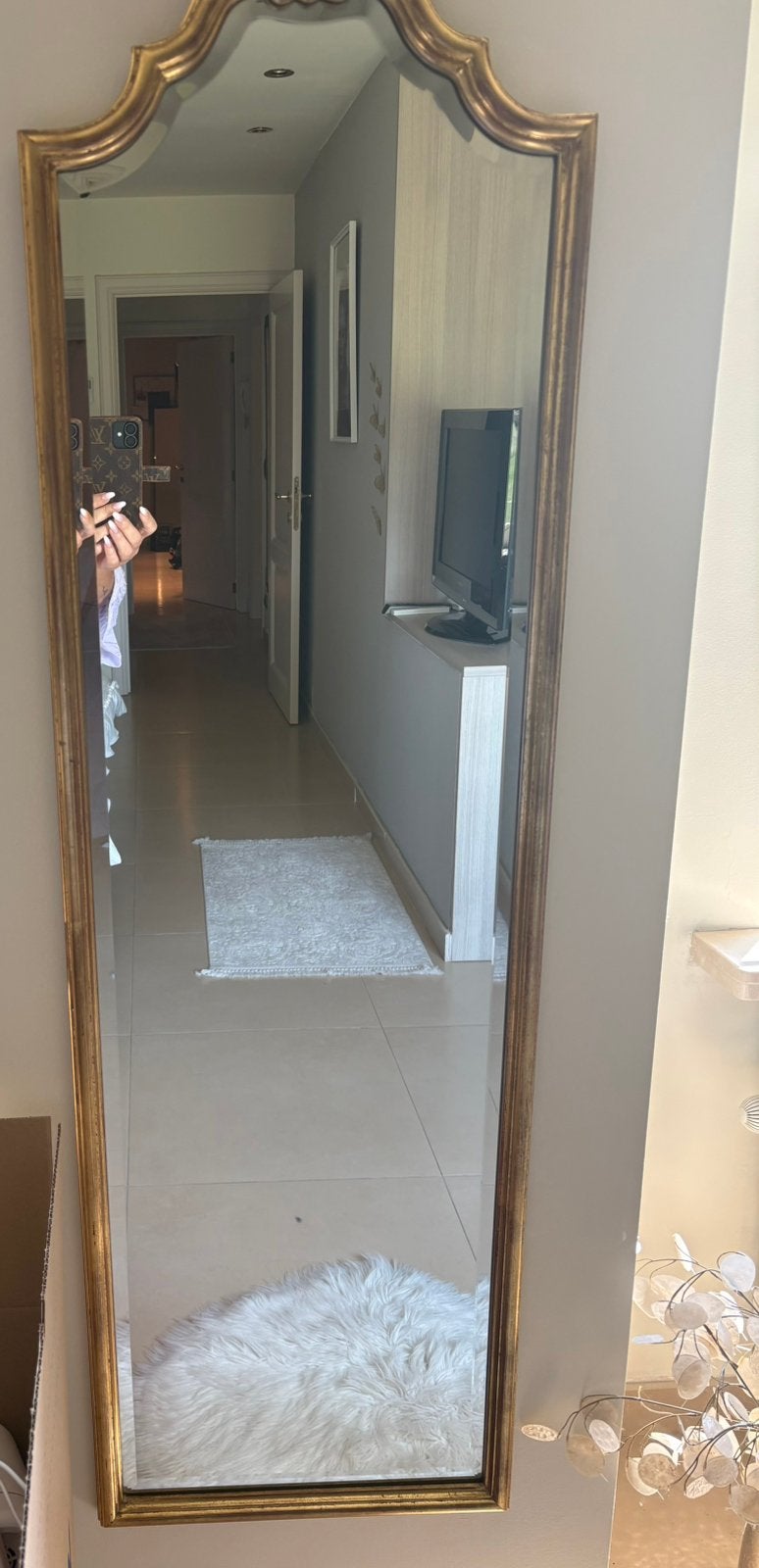 Miroir décoratif, Enlèvement, Comme neuf