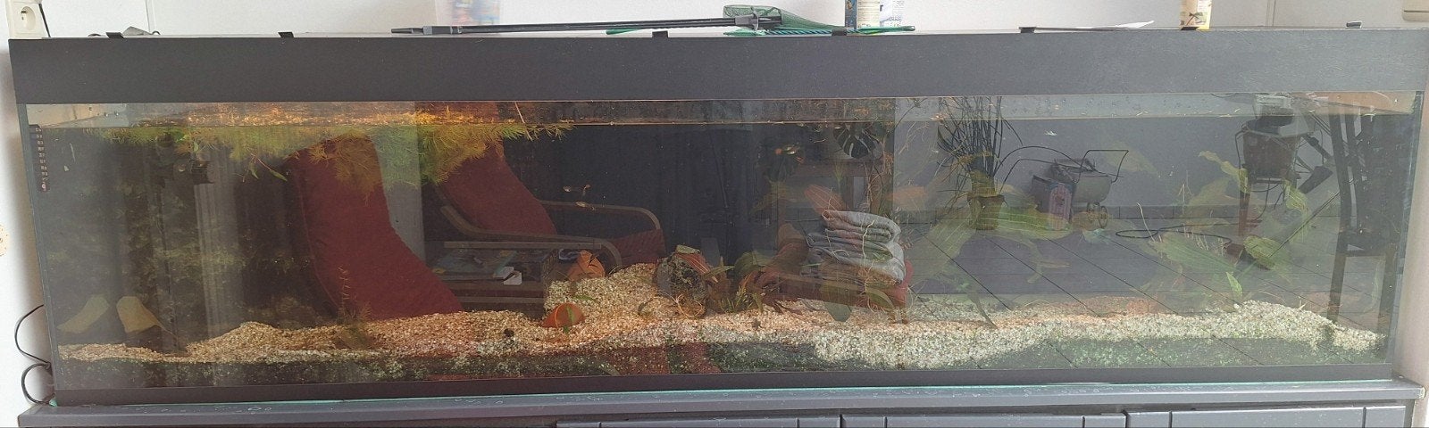 glas voor aquarium 10mm dik 230x60, Animaux & Accessoires, Enlèvement, Utilisé