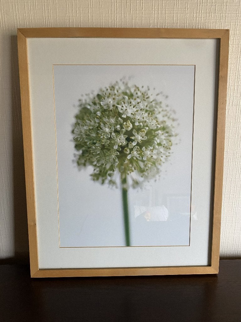 3 kaders - florale illustratie, Ophalen, Gebruikt, Meerkleurig, Kunststof