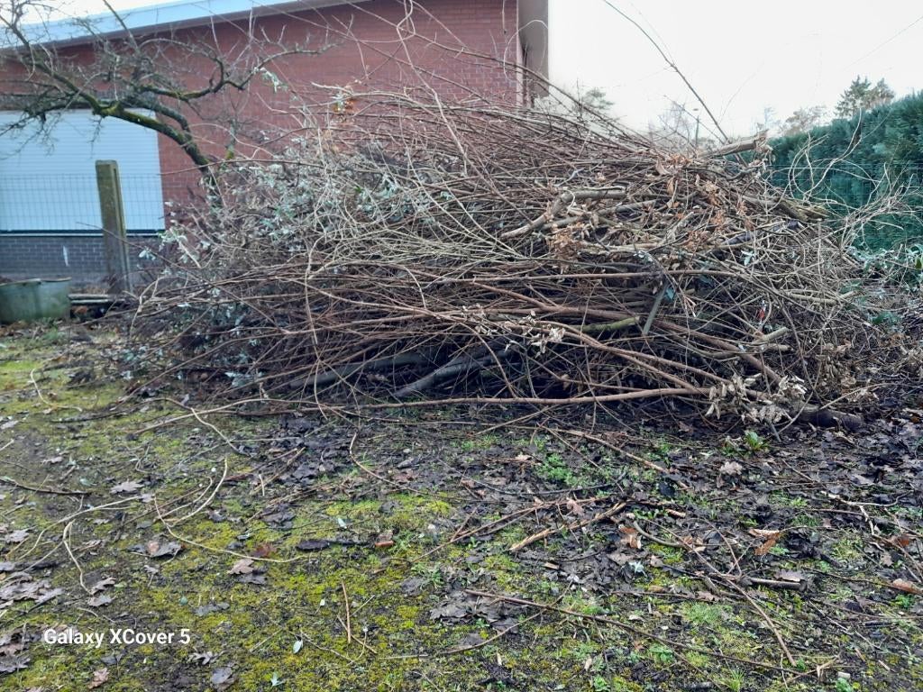 snoeihout knabbelhout hakselhout GRATIS, Tuin en Terras, Minder dan 3 m³, Ophalen, Takken