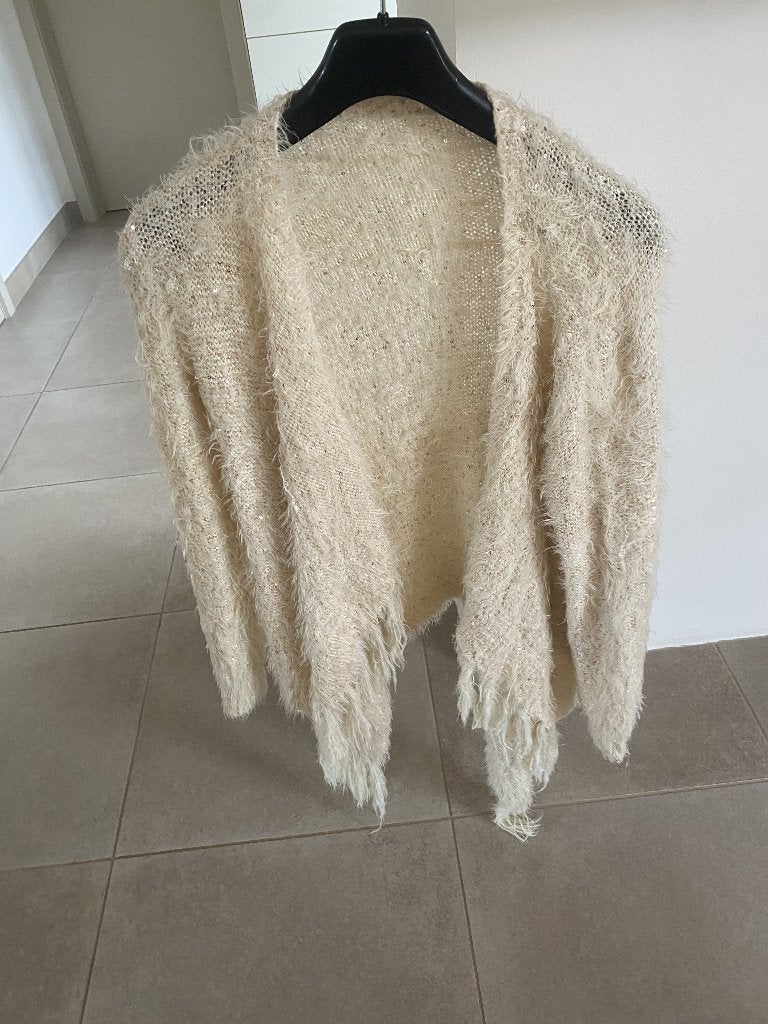 Beige cardigan met gouden pailletten, Enlèvement ou Envoi, Porté, Taille 42/44 (L), Beige
