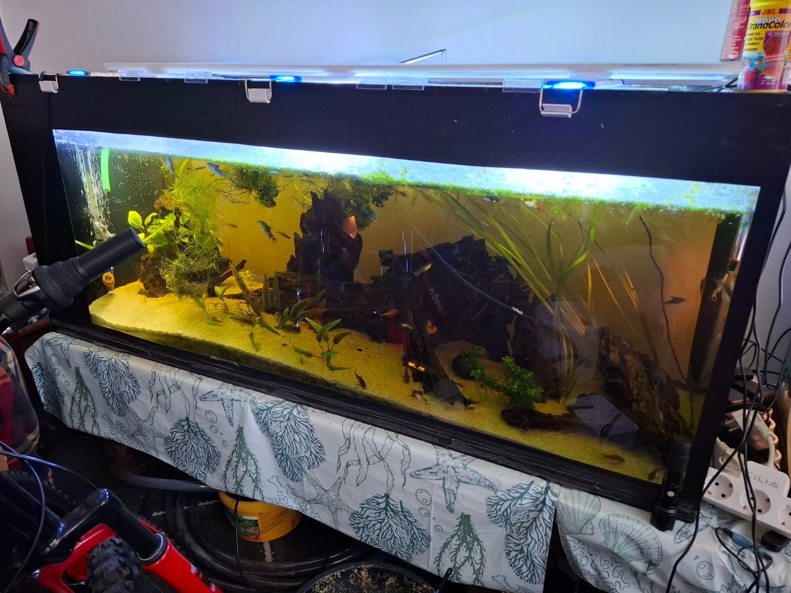 Aquarium te koop, Animaux & Accessoires, Reptiles & Amphibiens | Accessoires, Enlèvement
