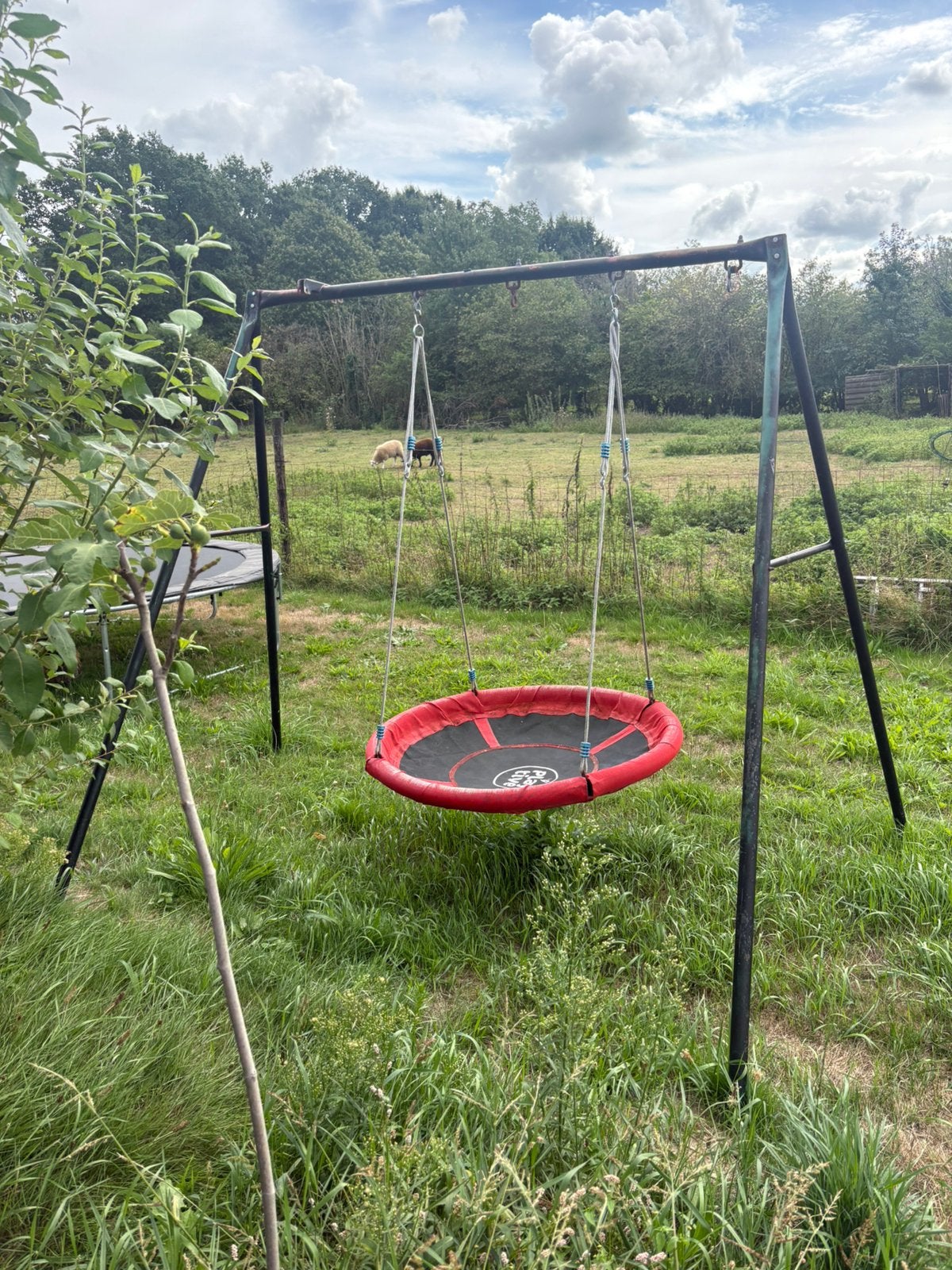 Schommel, Enlèvement, Utilisé, Balançoire