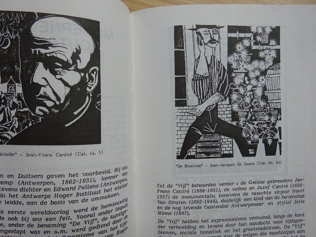 Moderne Vlaamse Houtsnijkunst 1987, As, Jan D'Haese, Boeken, Ophalen of Verzenden, Zo goed als nieuw, Jan d'HAESE
