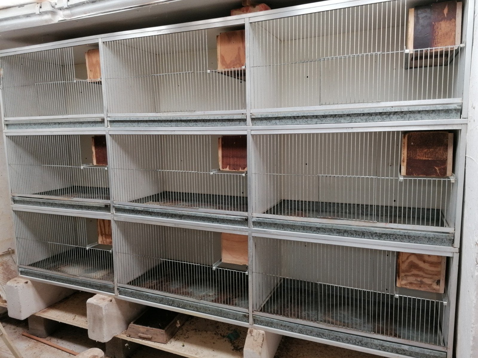 Cages d'élevage Van Keulen pour perruches, Enlèvement, Utilisé, Bois, Cage d'élevage