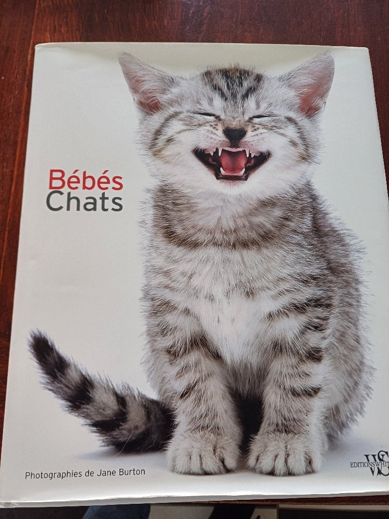 Livre chats, Livres, Garçon ou Fille, Livre à déplier, Comme neuf, Enlèvement