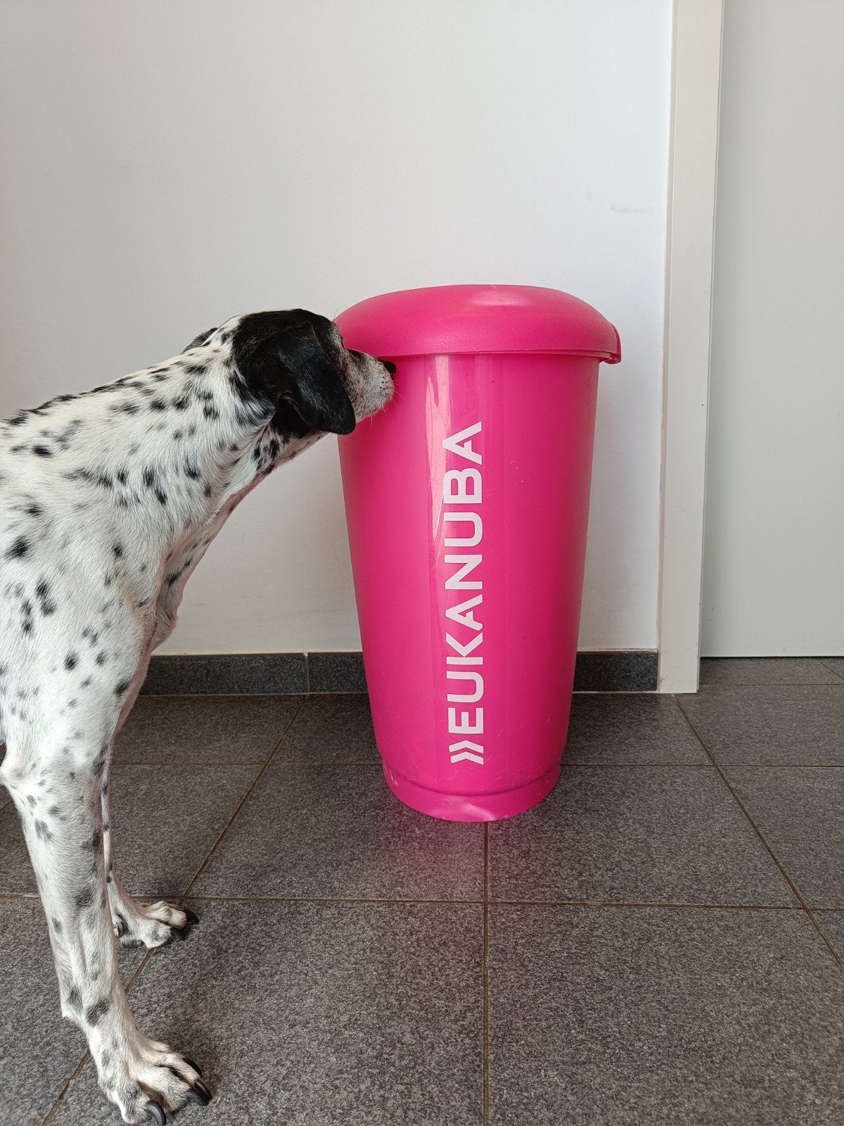 Voederton eukaneuba, Ophalen