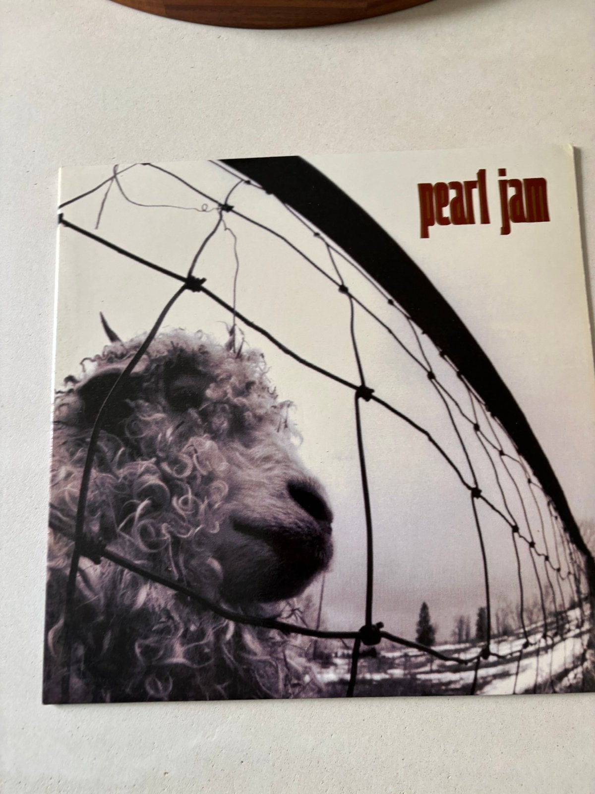 Lp 1993 pearl jam - vs vg+ vinyl. Hoes near mint, Ophalen of Verzenden, Zo goed als nieuw, LP
