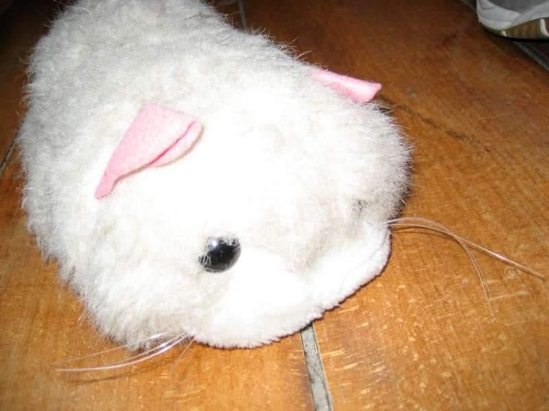 knuffel pluche poes - kat, Ophalen of Verzenden, Kat