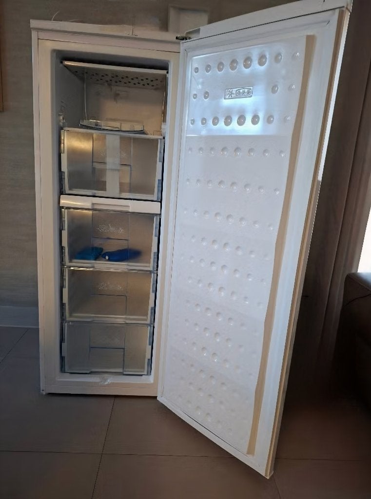 Beko FSA21320 Diepvries, Gebruikt, 120 tot 140 cm, Ophalen, Vrieskast
