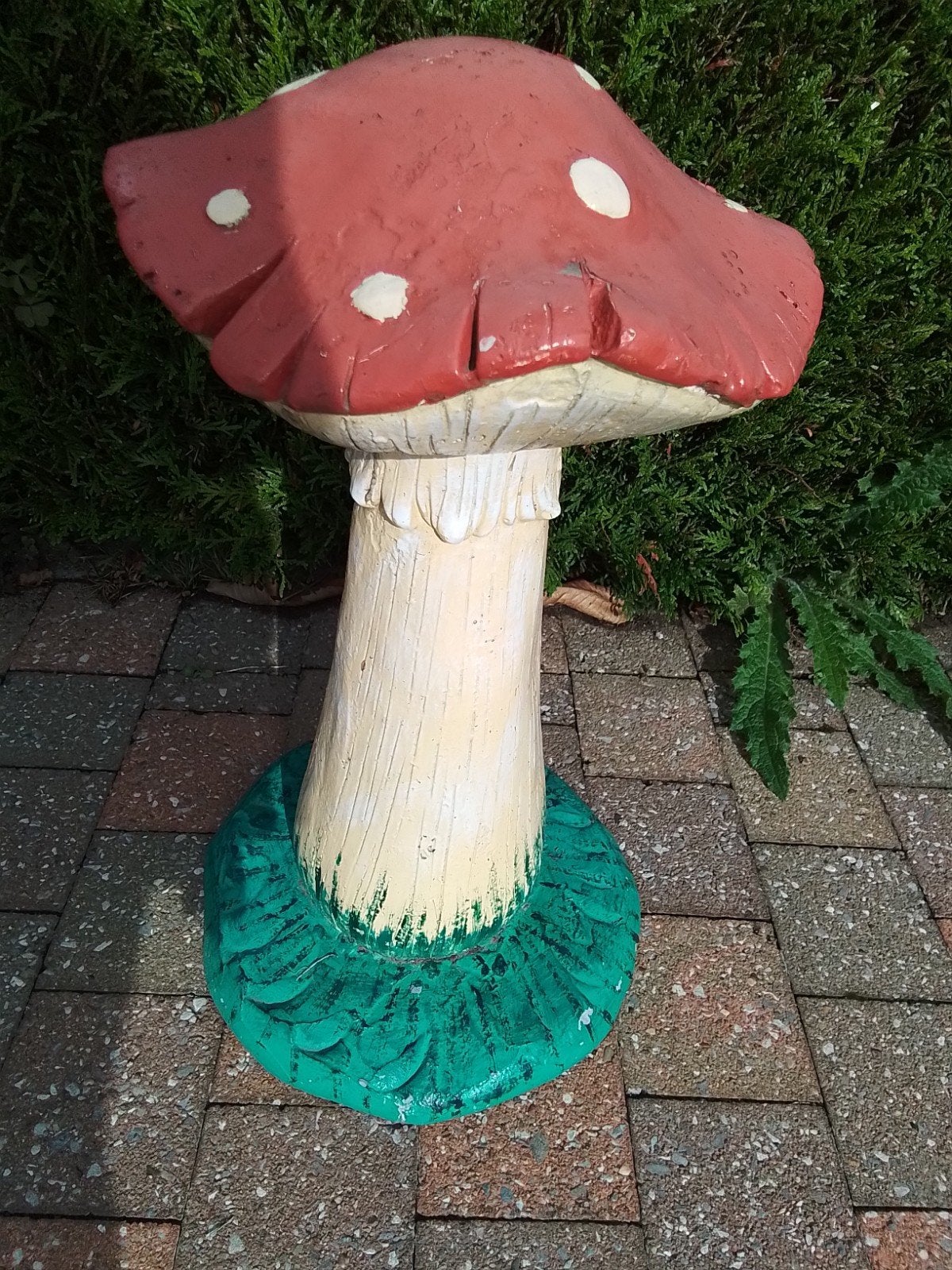 paddestoelen, Jardin & Terrasse, Enlèvement