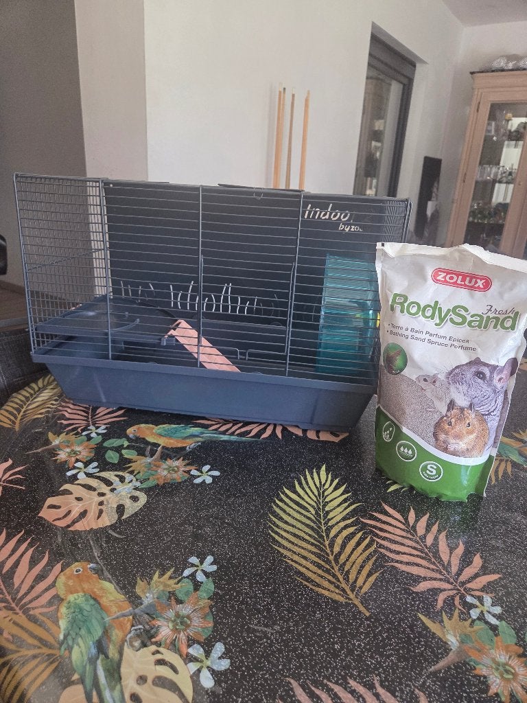 Cage et accessoires pour cobaye, Ophalen, Zo goed als nieuw, Kooi, Cavia