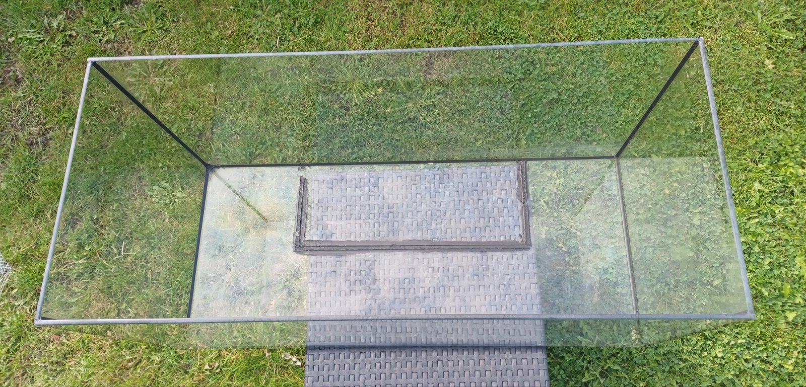 hamster, gerbil,.. terrarium, Dieren en Toebehoren, Ophalen, Hamster