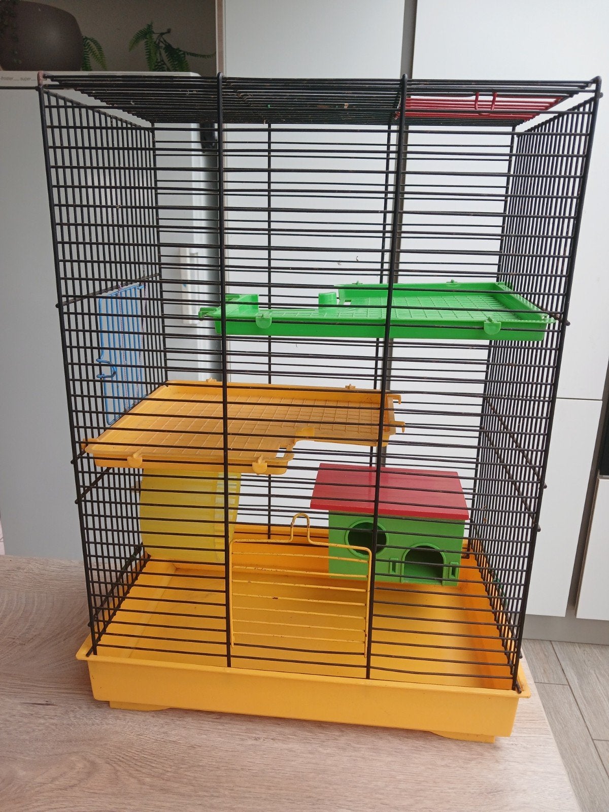 Cage pour petits animaux, Enlèvement, Cage