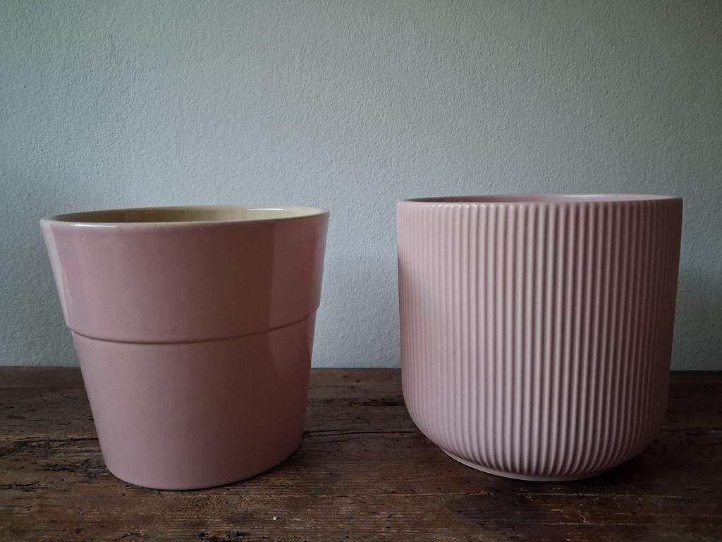 Deux pots de fleurs roses, Jardin & Terrasse, Enlèvement