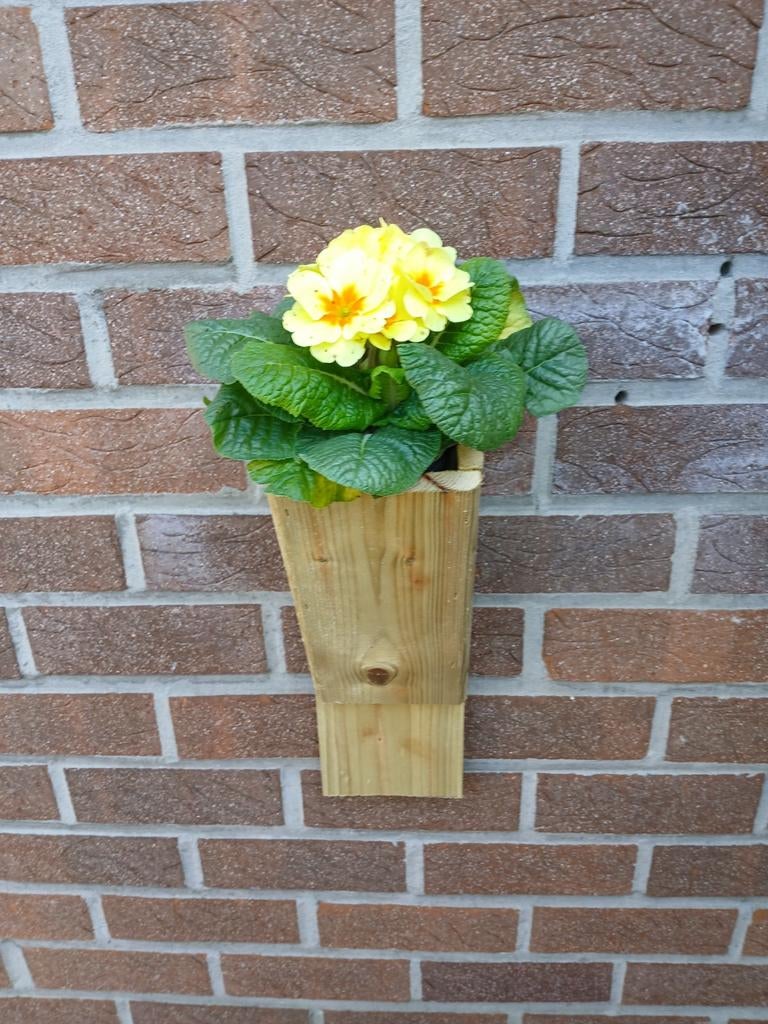 Stevige bloem bakjes, Enlèvement