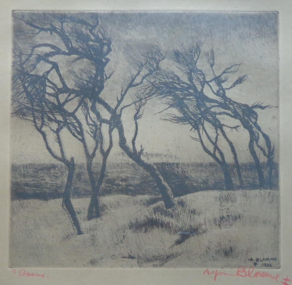ALFONS BLOMME / BOMEN / ZW-W ETS / 44x44cm / KADER / SIG, Eau-forte, Enlèvement ou Envoi, Paysage, Signé