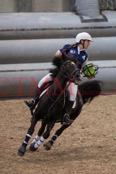 Top pony te koop, Jument, Poney D (1.37 m à 1.48m), Avec puce électronique, 11 ans ou plus