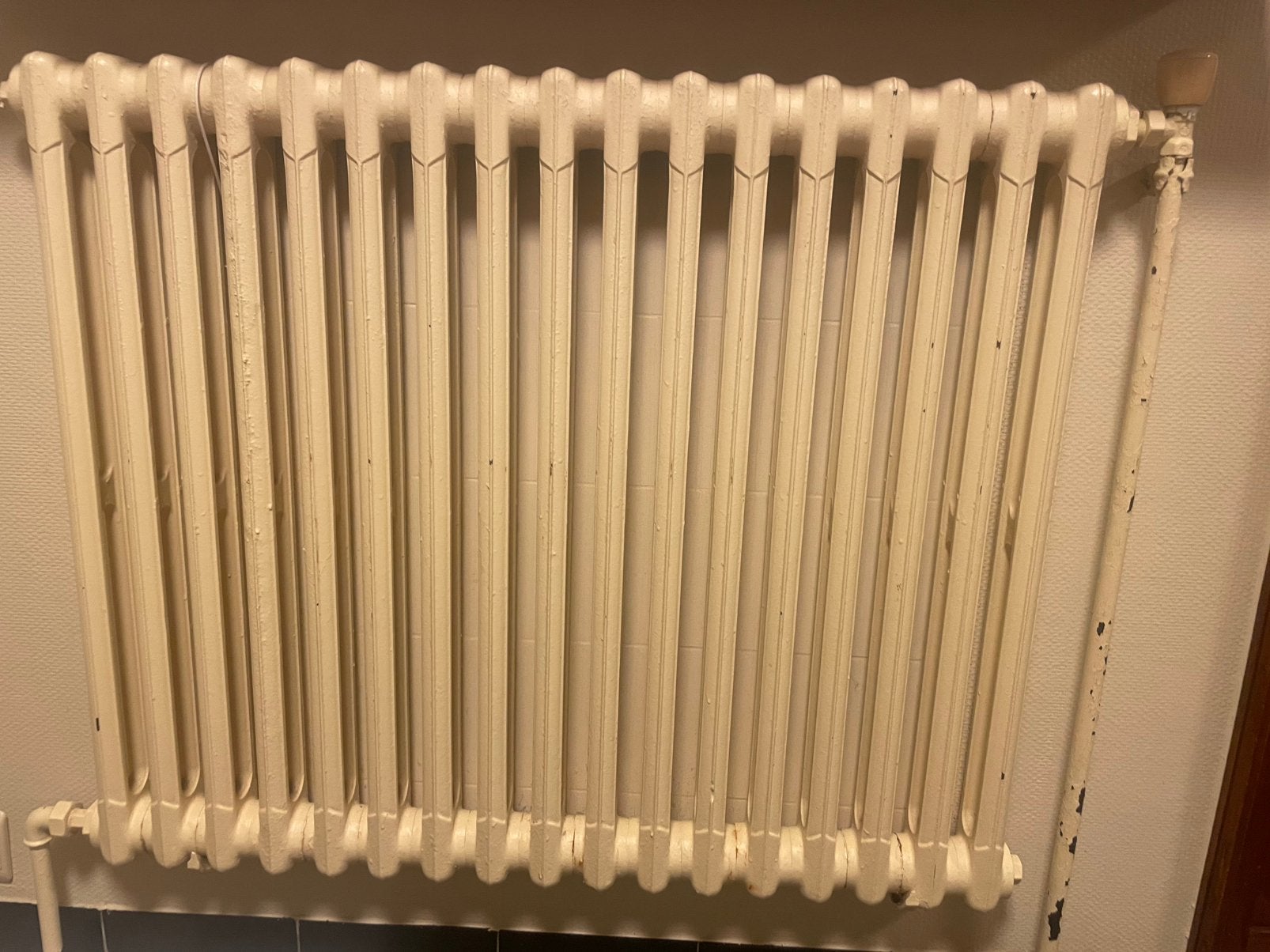 Radiateur à colonne en fonte, Enlèvement, Utilisé