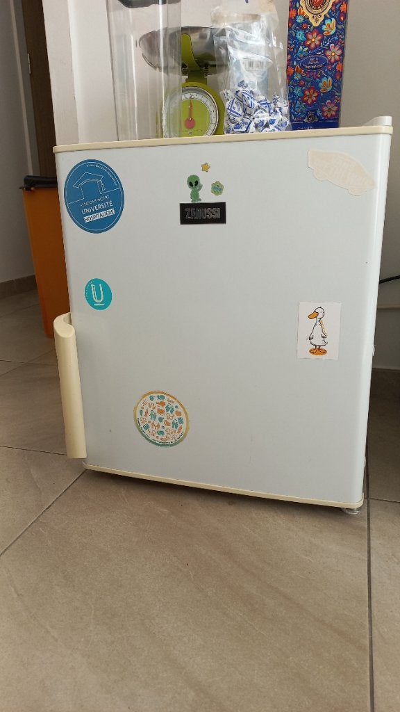 Mini congélateur Zanussi – Format compact, Electroménager, Moins de 60 cm, Congélateur, Classe énergétique A ou plus économe, Enlèvement