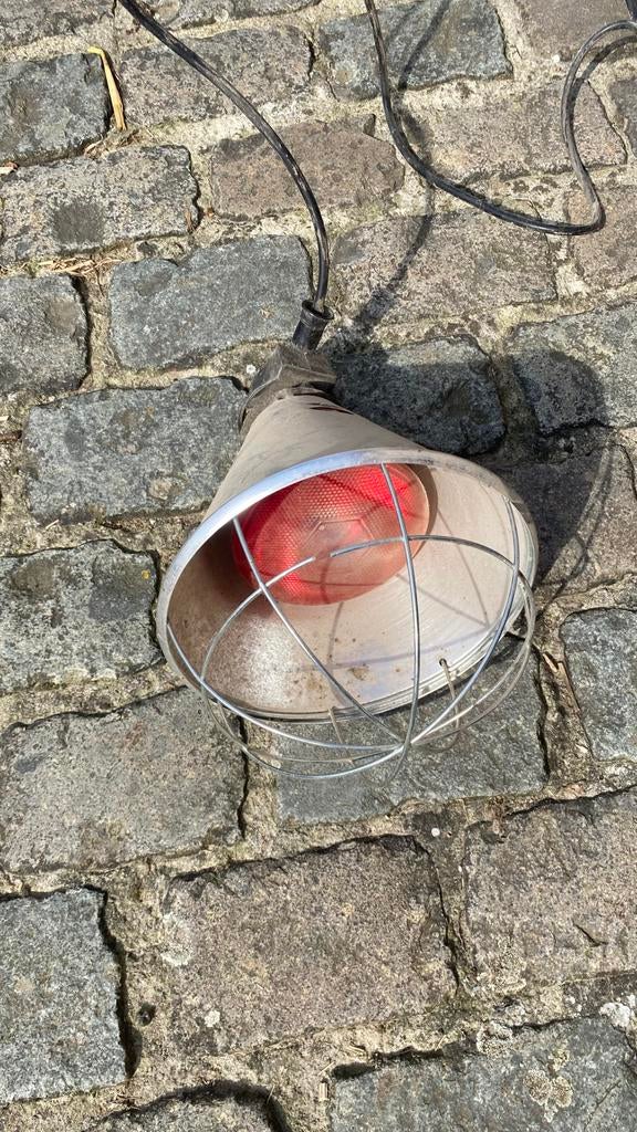 Infraroodlamp voor pluimvee, Dieren en Toebehoren, Ophalen, Gebruikt