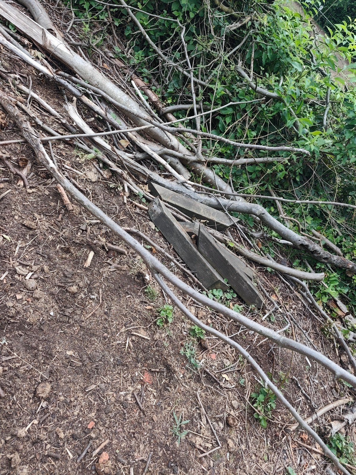 GRATIS hout, Ophalen of Verzenden