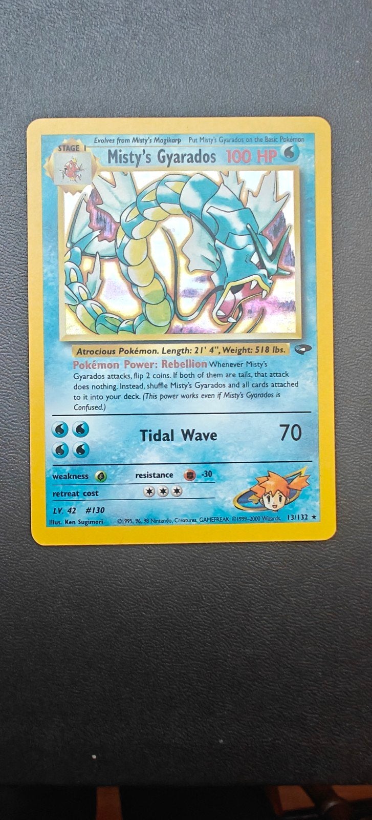 Misty's Gyarados - Gym challenge, Ophalen